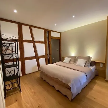 Dom wakacyjny Maison De Charme En Alsace - In Vino Veritas - 12 Personnes *