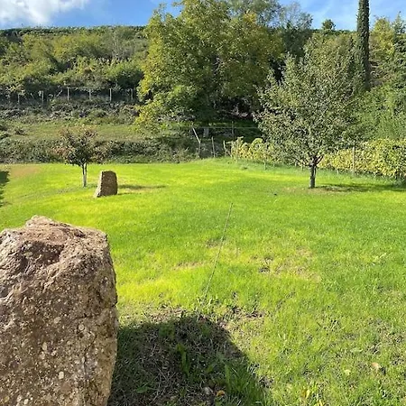 Maison De Charme En Alsace - In Vino Veritas - 12 Personnes