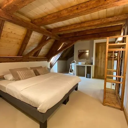 Dom wakacyjny Maison De Charme En Alsace - In Vino Veritas - 12 Personnes
