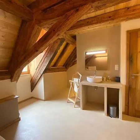 Prázdninový dům Maison De Charme En Alsace - In Vino Veritas - 12 Personnes *