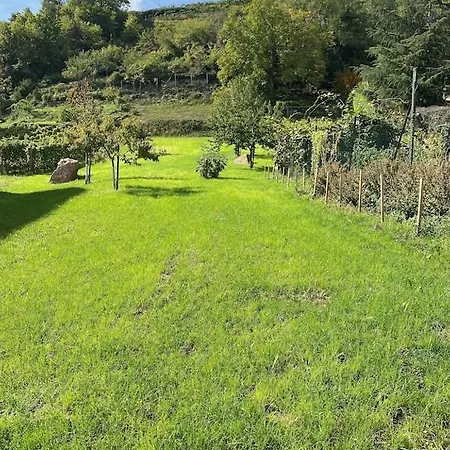 Maison De Charme En Alsace - In Vino Veritas - 12 Personnes Dom wakacyjny