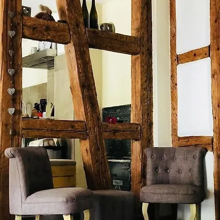 Maison De Charme En Alsace - In Vino Veritas - 12 Personnes Prázdninový dům *