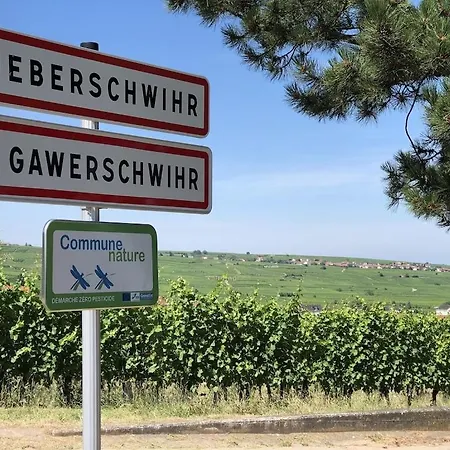 Maison De Charme En Alsace - In Vino Veritas - 12 Personnes Dom wakacyjny