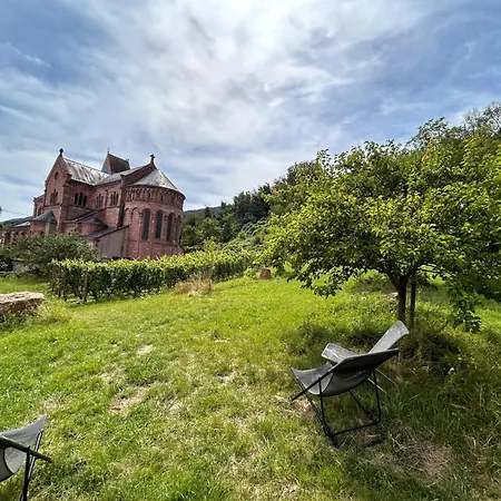 Maison De Charme En Alsace - In Vino Veritas - 12 Personnes Casa vacanze *