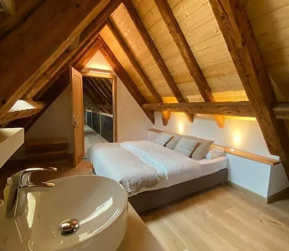 Maison De Charme En Alsace - In Vino Veritas - 12 Personnes