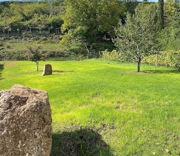 Maison De Charme En Alsace - In Vino Veritas - 12 Personnes