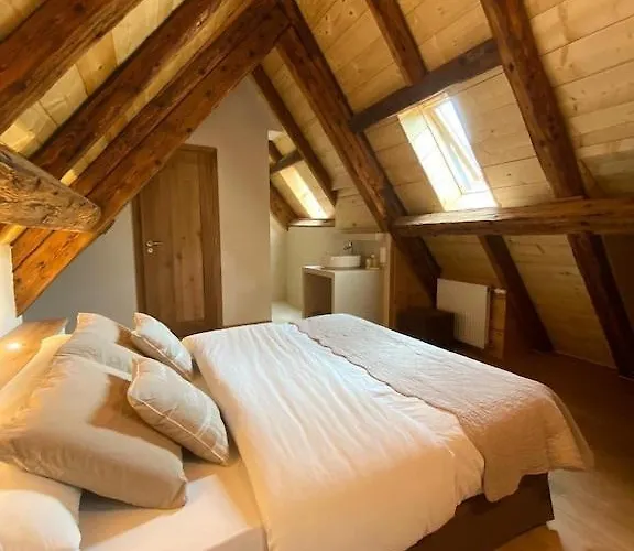 Maison De Charme En Alsace - In Vino Veritas - 12 Personnes Vakantiehuis *
