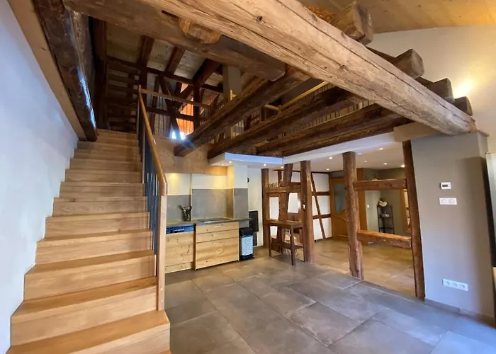 Maison De Charme En Alsace - In Vino Veritas - 12 Personnes Vakantiehuis *