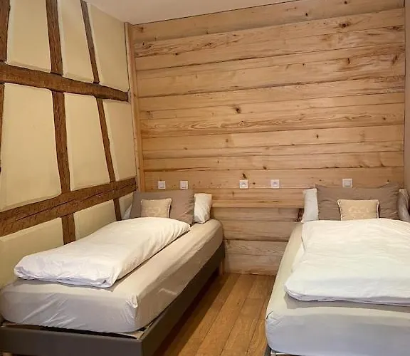 Maison De Charme En Alsace - In Vino Veritas - 12 Personnes Vakantiehuis