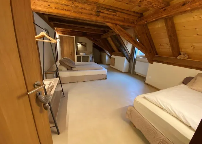 Maison De Charme En Alsace - In Vino Veritas - 12 Personnes