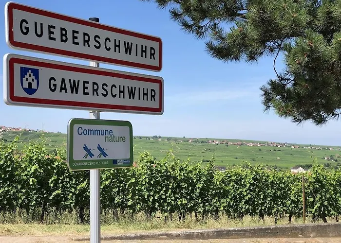 Maison De Charme En Alsace - In Vino Veritas - 12 Personnes Vakantiehuis